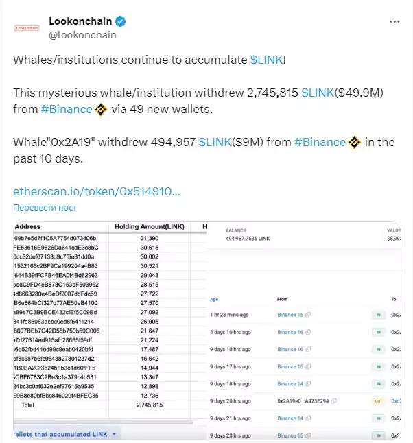 Chainlink и Cardano могут резко вырасти в цене из-за короткого сжатия