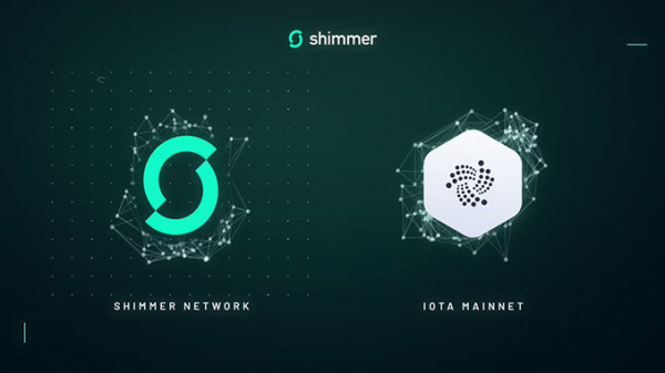 Shimmer IOTA регистрирует рост TVL после объявления эирдропа и предупреждает о мошенниках