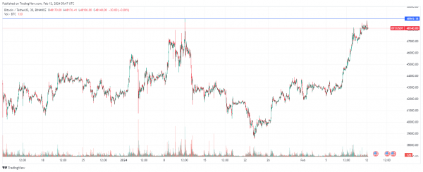 Когда биткоин по $50 000: мнения и прогнозы