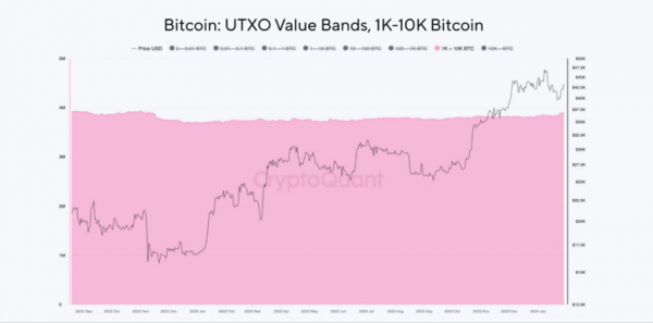 Достиг ли BTC локального дна