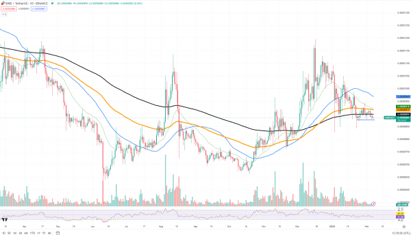 Shiba Inu (SHIB) потеряла критическую поддержку